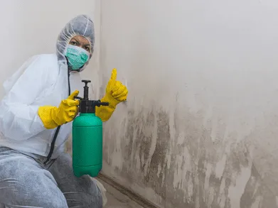 Mold / Dampness Cleaning & Treatment