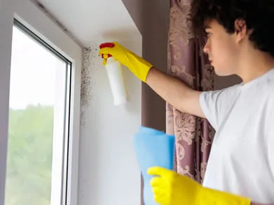 Pest Control & Fumigation